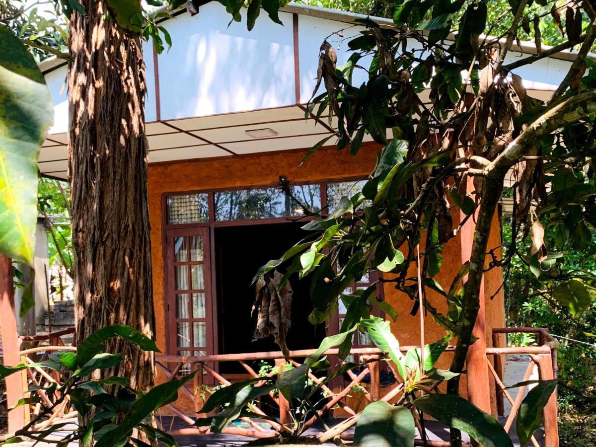 The Nirwana Cottage Ella Esterno foto